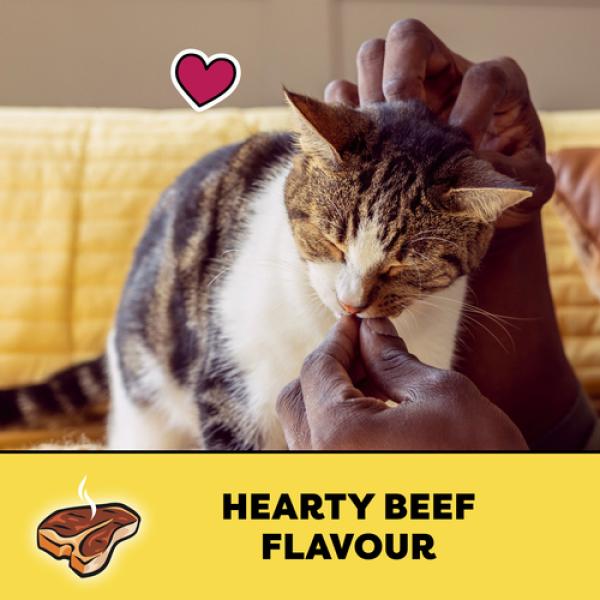 Temptations Adult Cat Treats Hearty Beef Flavour 85 g