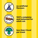 Temptations Adult Cat Treats Hearty Beef Flavour 85 g