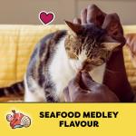 Temptations Adult Cat Treats Seafood Medley Flavour 85 g