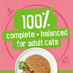 Friskies Pate Salmon Dinner, Wet Cat Food 156g, 156 g