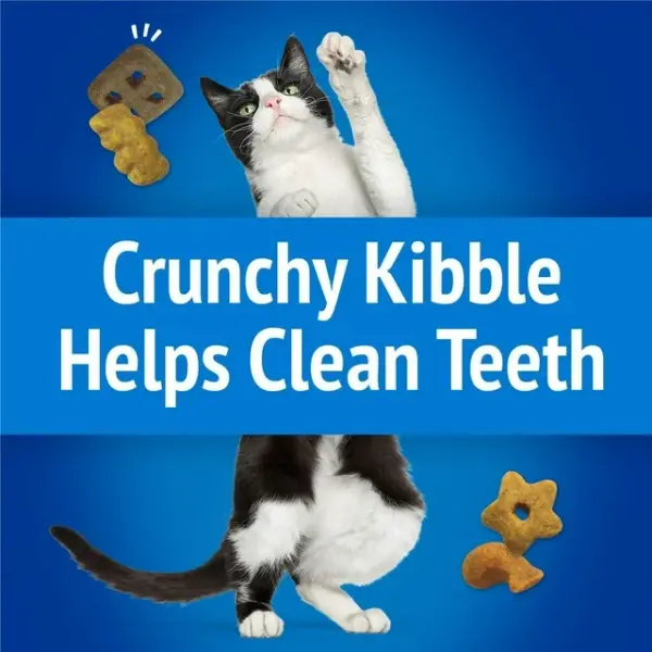 Friskies Party Mix Ocean Crunch, Cat Treats 170g, 170 g
