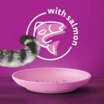 Whiskas Seafood Selections Adult Dry Cat Food With Real Salmon 2 kg