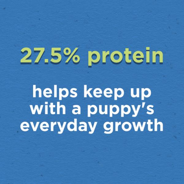 Puppy Chow Dry Puppy Food Complete With Real Chicken 2 kg