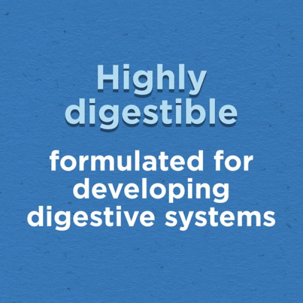 Puppy Chow Dry Puppy Food Complete With Real Chicken 2 kg