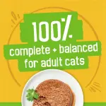 Friskies Pate Chicken Dinner, Wet Cat Food 156g, 156 g