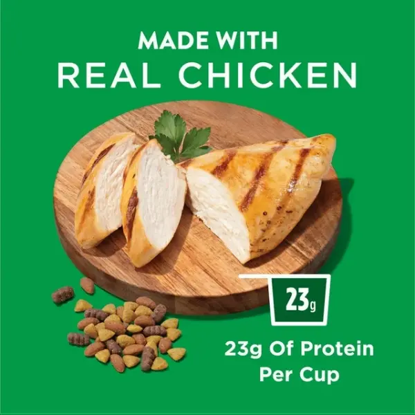 Purina Dog Chow Complete Adult Chicken, Dry Dog Food, 2 kg