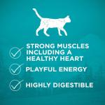 Purina ONE True Instinct Dry Cat Food Grain Free Chicken 1.45 kg