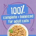 Friskies Shredded Turkey & Cheese in Gravy, Wet Cat Food 156g, 156 g