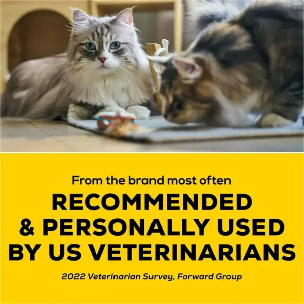 Tidy Cats LightWeight Instant Action Multi-Cat, Clumping Cat Litter 2.72 kg, 2.72 kg