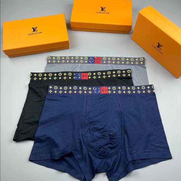 Louis Vuitton Men's Boxers, no fly briefs